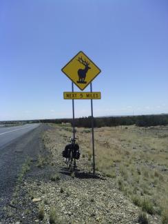 I'm in elk country now