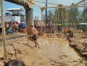 Luckily nobody bulldozed him