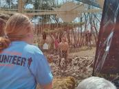 I was being careful not to touch the electrical wires